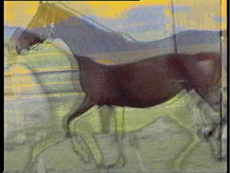 up-Pferd-down-6-Video-Gabriele_Seifert-1991
